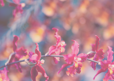 秒发卡不等待的DDOS接单平台